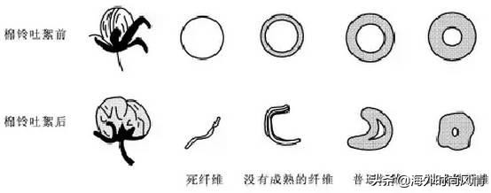 童泰童装图片-童泰与巴拉巴拉哪个品牌更舒服？