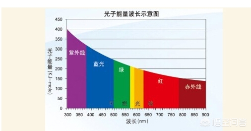护眼灯哪家好-三基欧能台灯真能护眼吗？