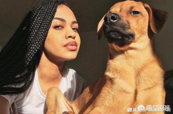 护眼仪多少钱一副-零度护眼仪怎么样？