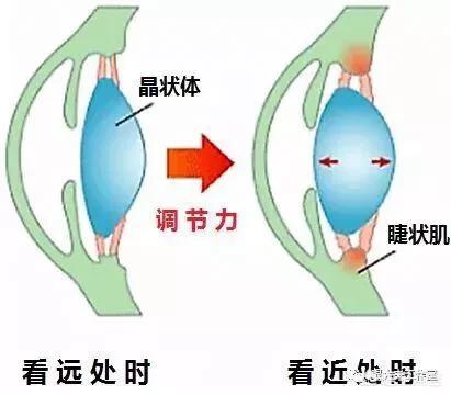 护眼仪好卖吗-贝立凯护眼仪电池能换吗？