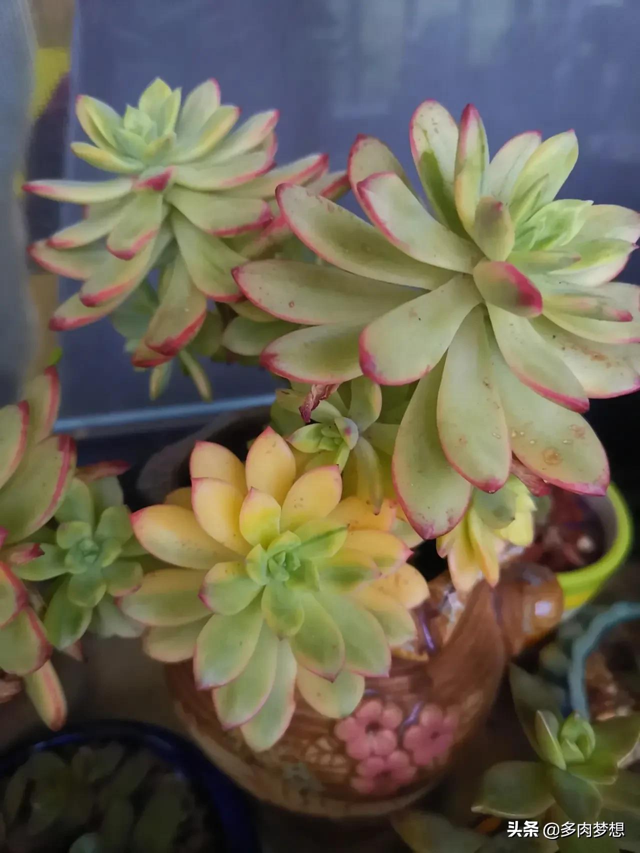 护眼灯的瓦数标准-台灯瓦数怎么选择？